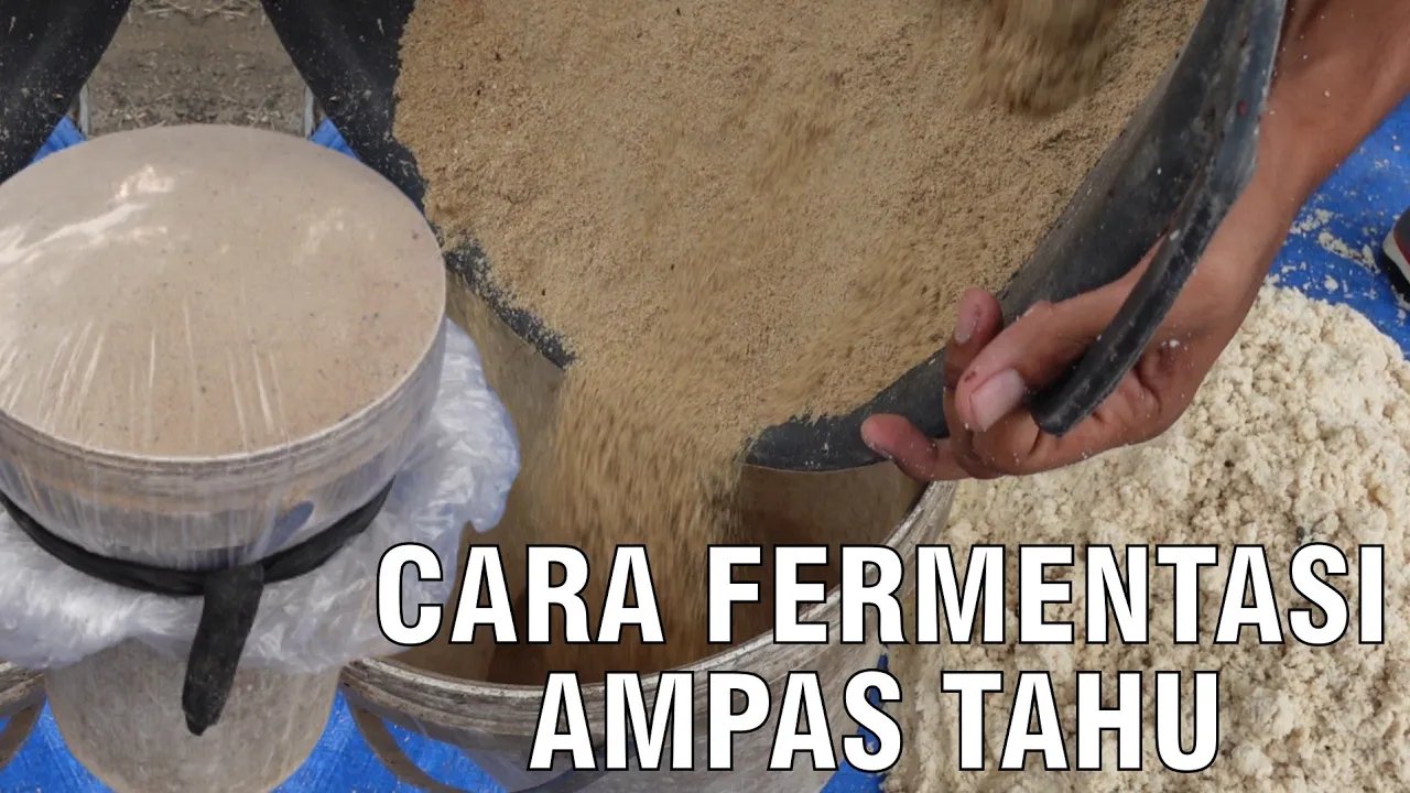 
                                 Cara-Fermentasi-Ampas-Tahu